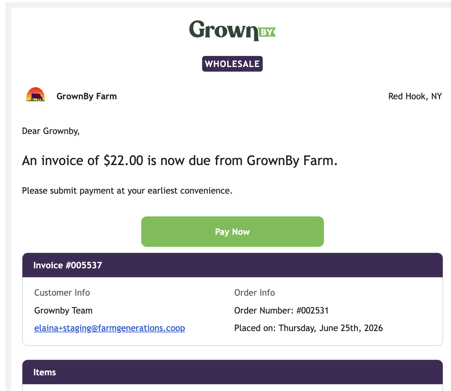 Wholesale invoice due email showing invoice amount and Pay Now button