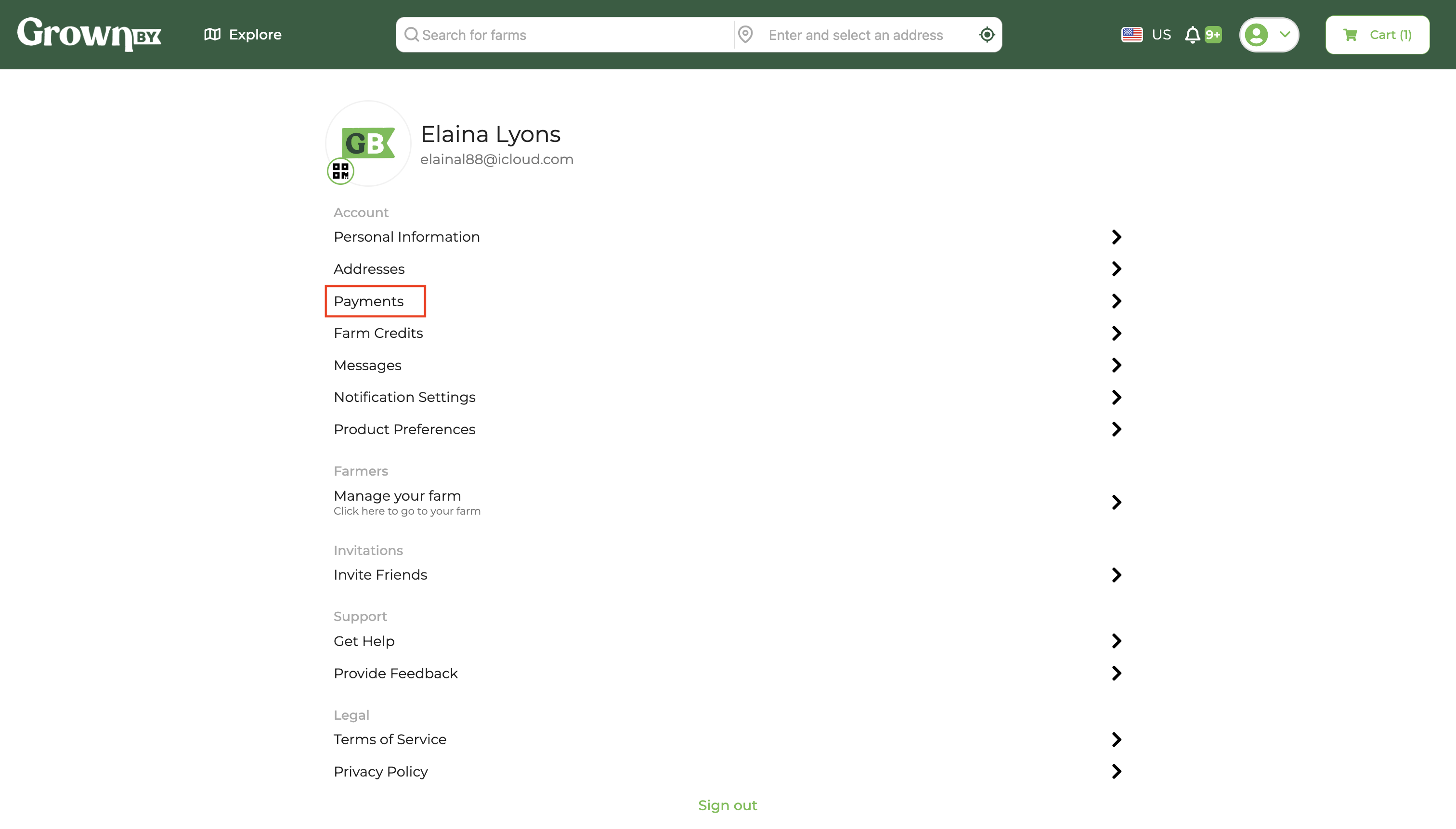 Account page with Payments option highlighted