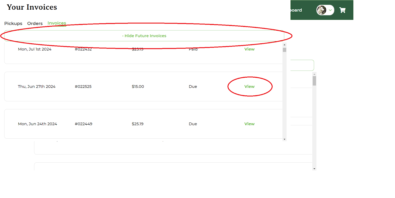 Invoices tab with a View Future Invoices button and a list of upcoming invoices