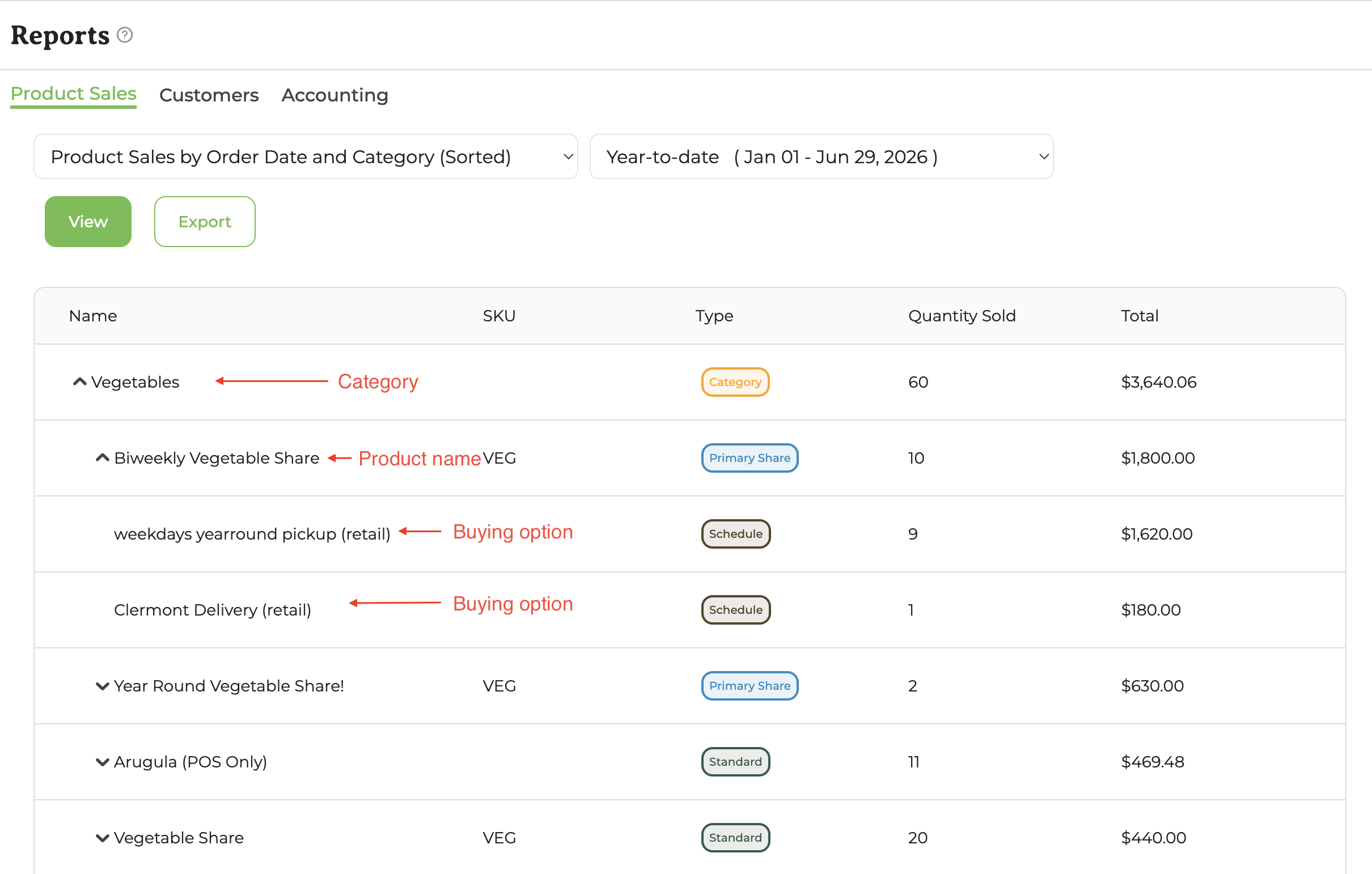 Product sales report detailing category, product name, and buying option fields